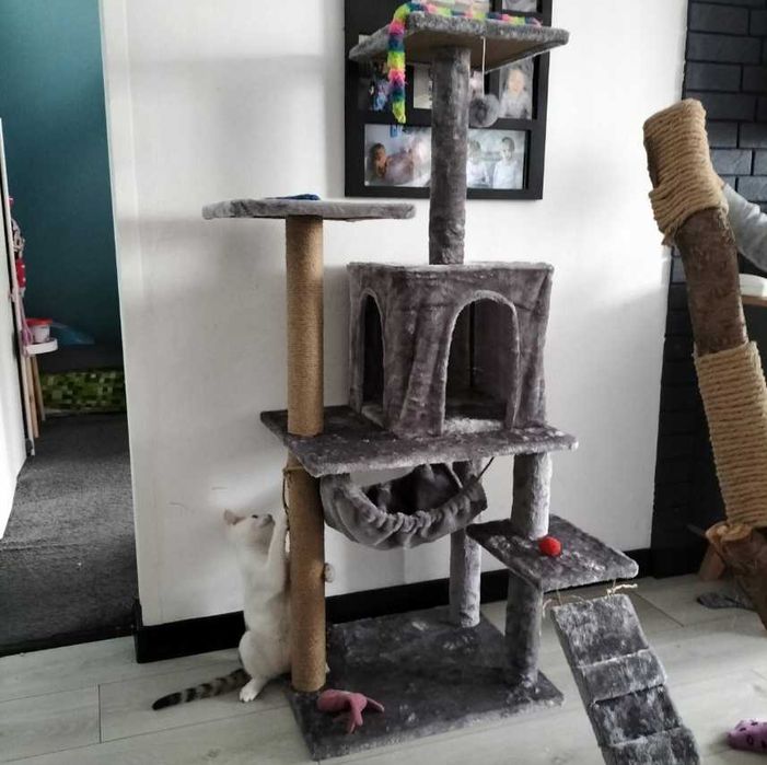Drapak budka dla kota duży wysoki legowisko  drabinka słupek