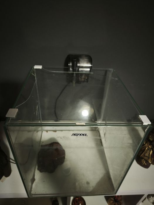 Vendo aquário em excelente estado