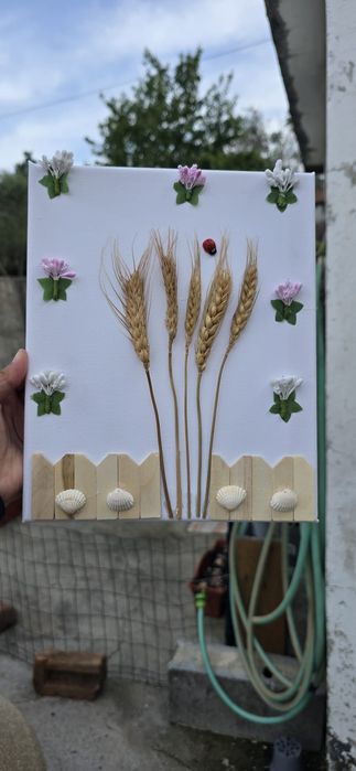 Telas  flores e conchas