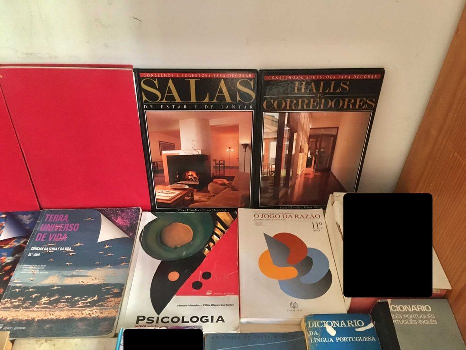 Lote de 31 livros