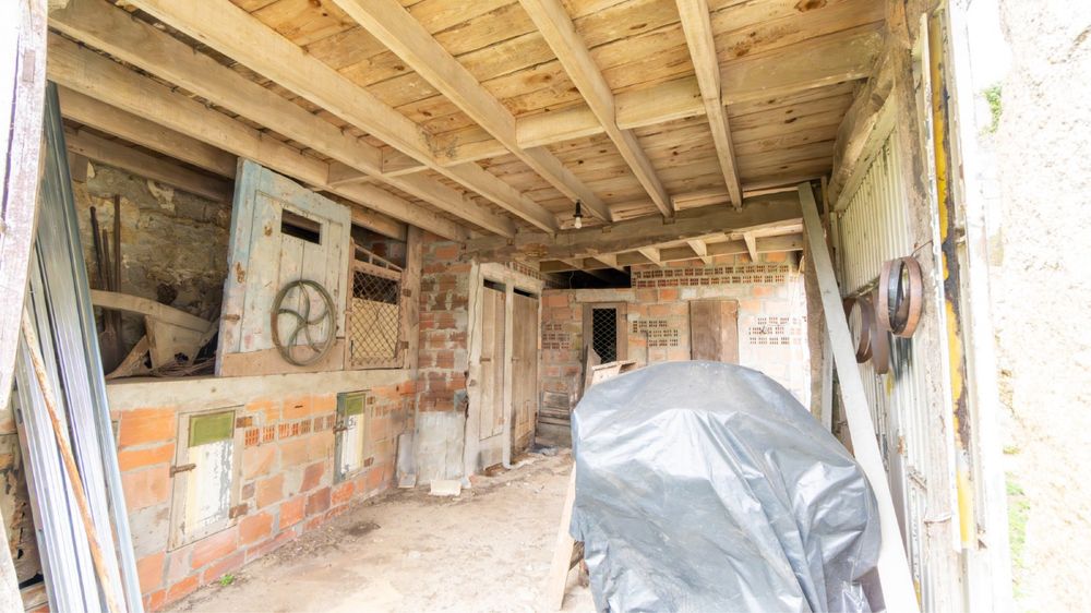 Quintinha c/ moradia T3 + 2 Ruínas