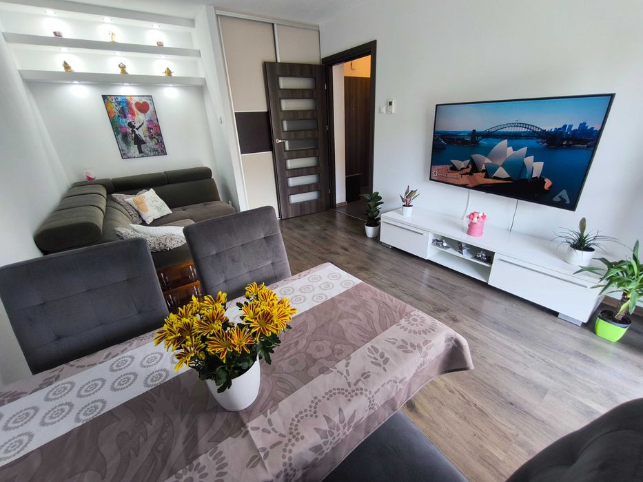 Wynajem mieszkanie 2 pokoje, winda w bloku, osobna kuchnia, 6m balkon, bez pośredników, niski czynsz.