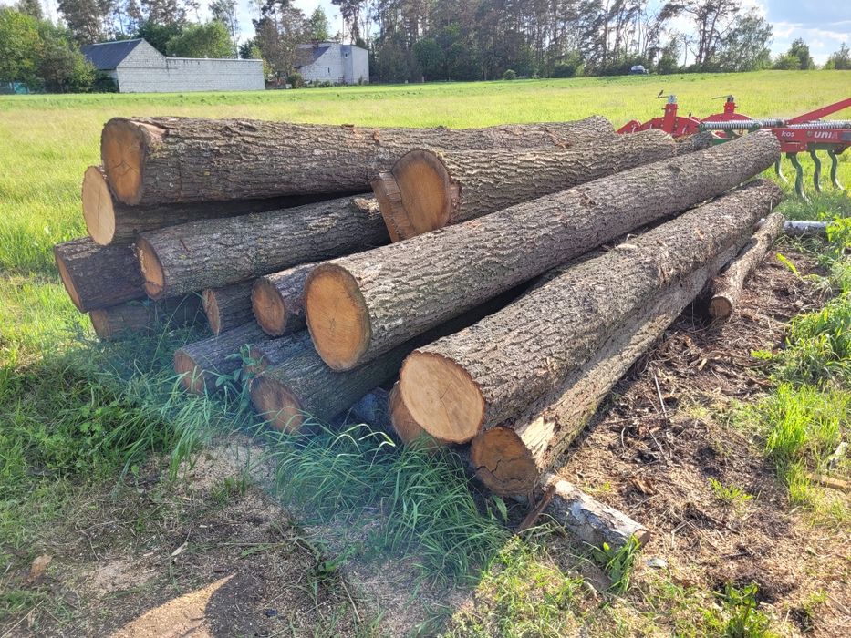 Sprzedam drzewo drewno dąb