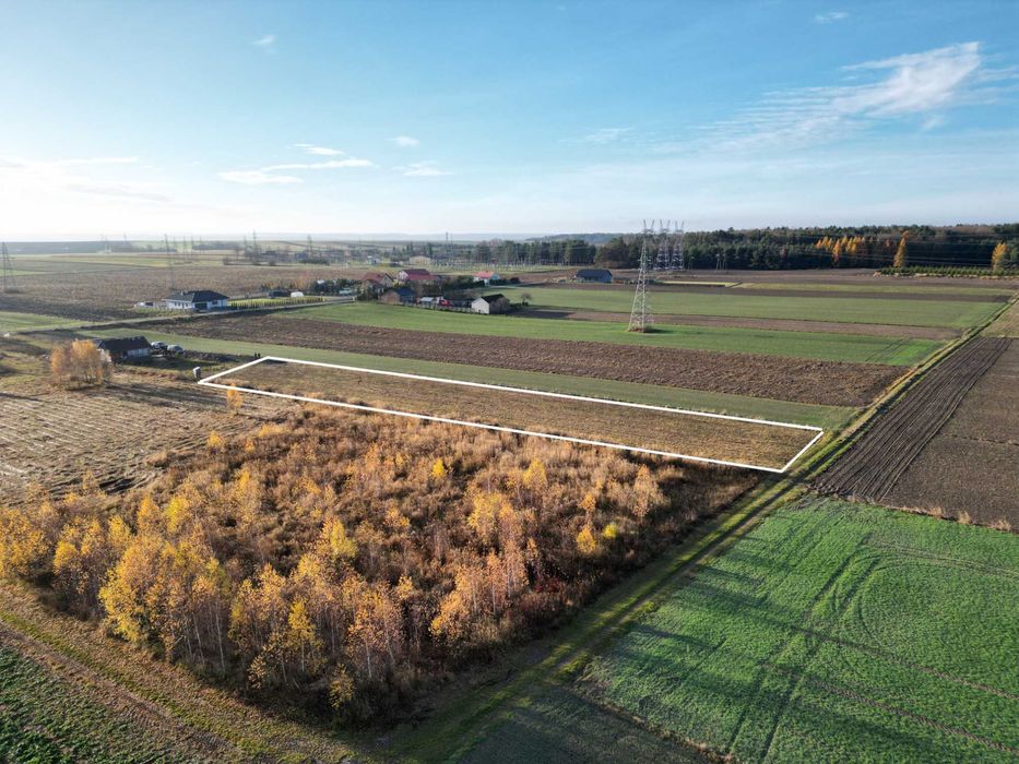 SPRZEDAM DZIAŁKE NA PŁOSKIM ( 26 arów - blisko lasu) - Widok 3