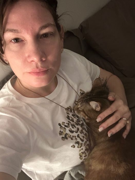 Especialista em Gatos - 20 Anos de Experiência + Cuidados a Domicílio
