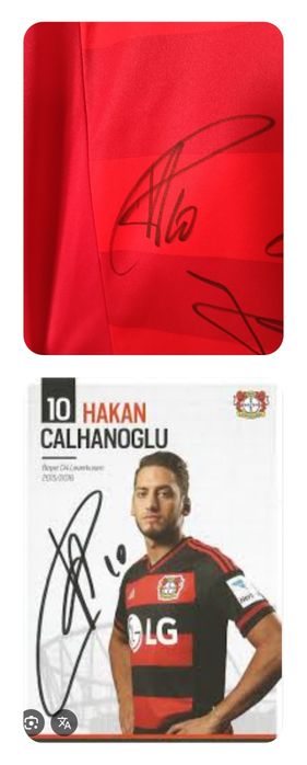 Koszulka Bayer Leverkusen 2014-15 Home Adidas Climacool Roz. M
