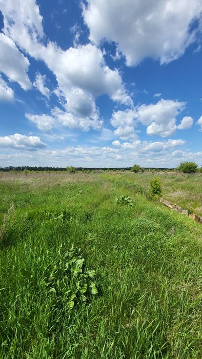 Земельна ділянка ОСГ, 2Га, теплиці , 70км Киев. обл.