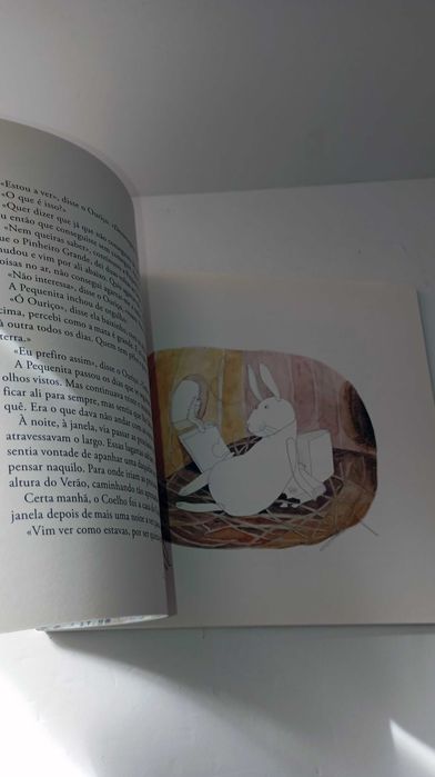 Contos da Mata dos Medos - Álvaro Magalhães