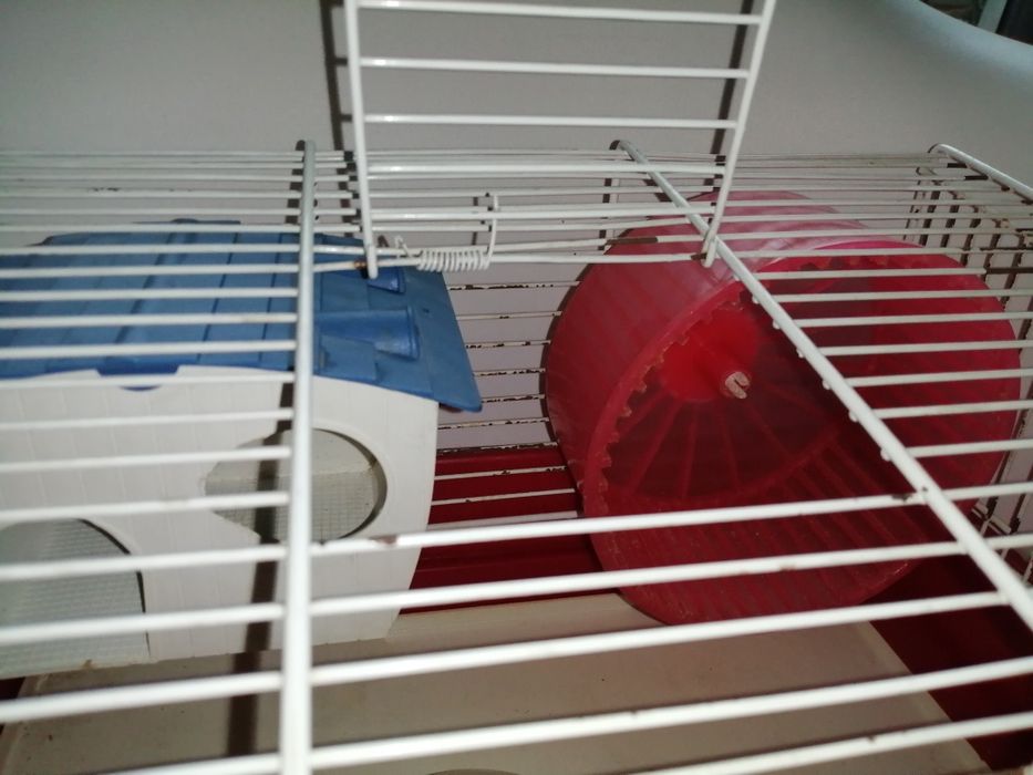 Gaiola para hamster com acessórios