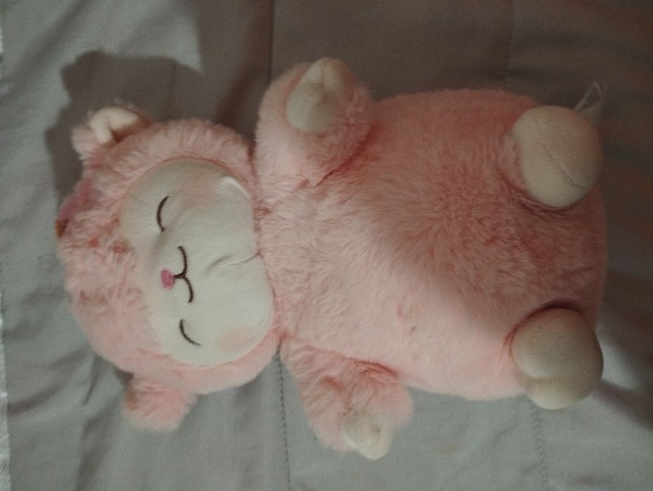 Peluches novos .