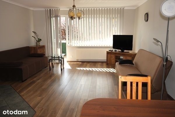 wynajem 2 pok. Wołów/centrum