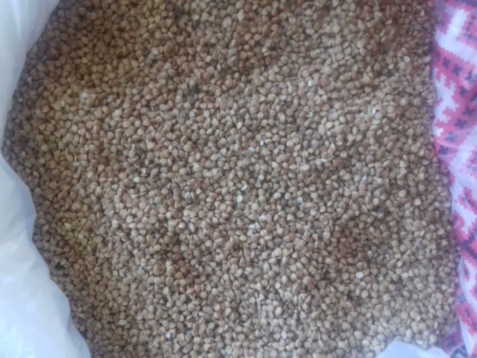 Продається гречка.Приймаємо на переробку.