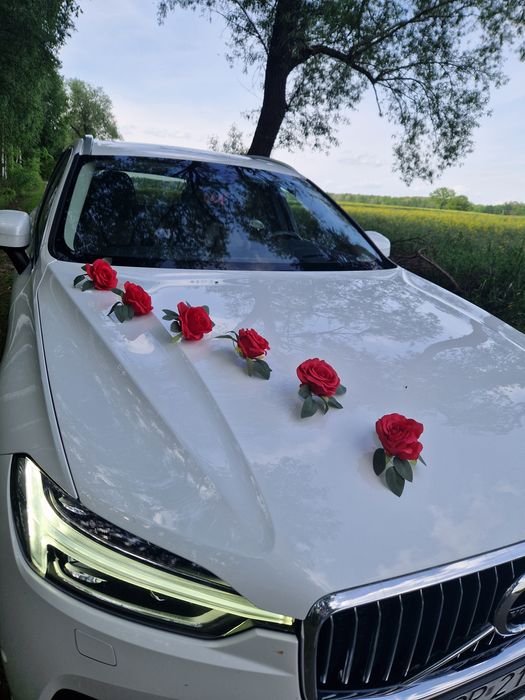 Auto do ślubu, piękne Volvo XC60