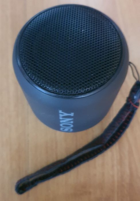 Głośnik przenośny Sony SRS-XB100 czarny