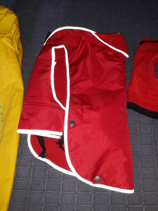 5 capinhas para cão