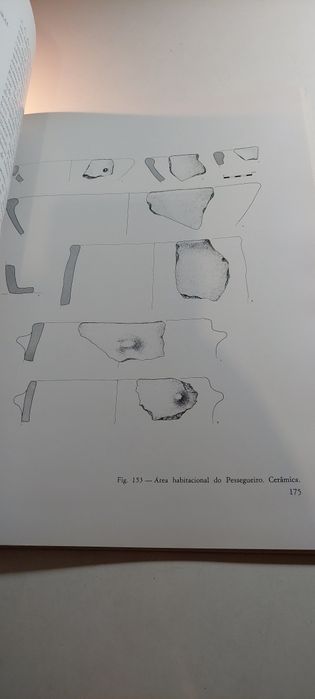 Pré-História da Área de Sines, Trabalhos Arqueológicos (1981)