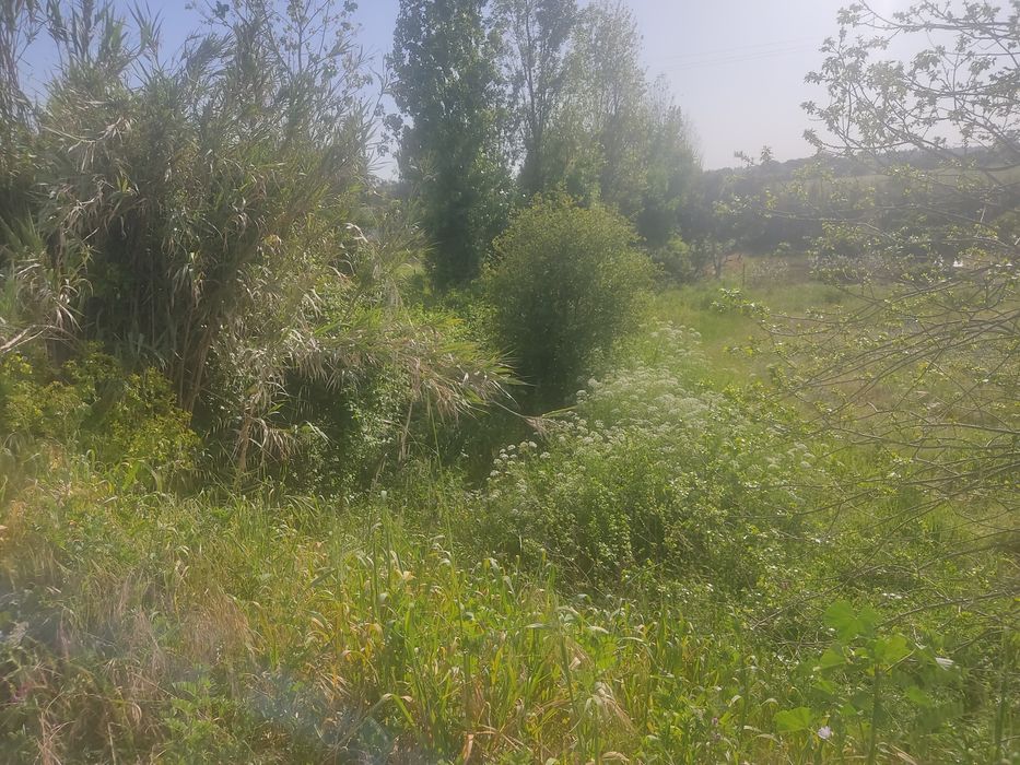 Terreno rústico com 3250 m2