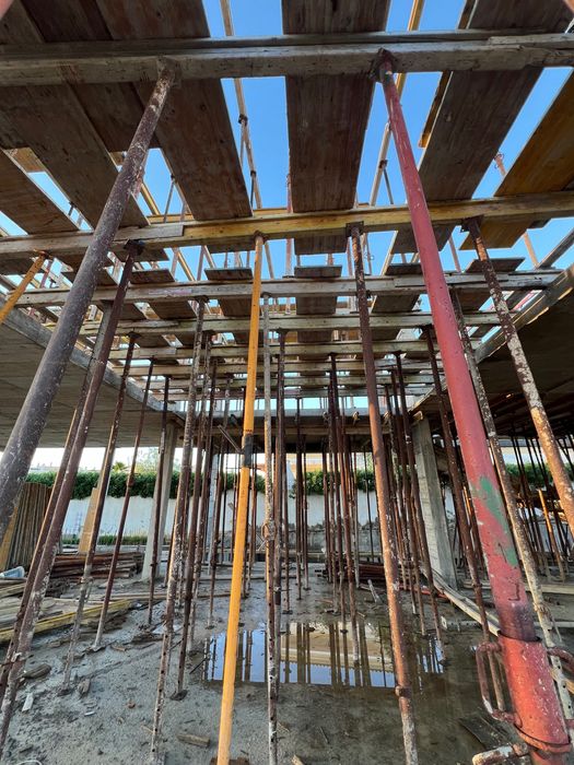 Profissional e Sólida423380153764433922