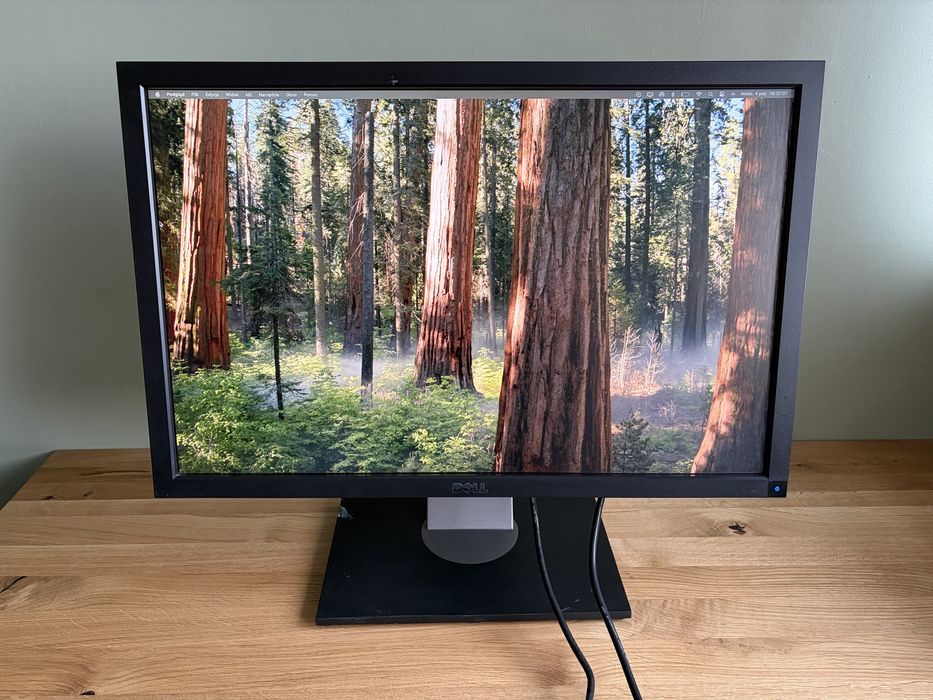 Monitor DELL U2410f używany w bardzo dobrym stanie