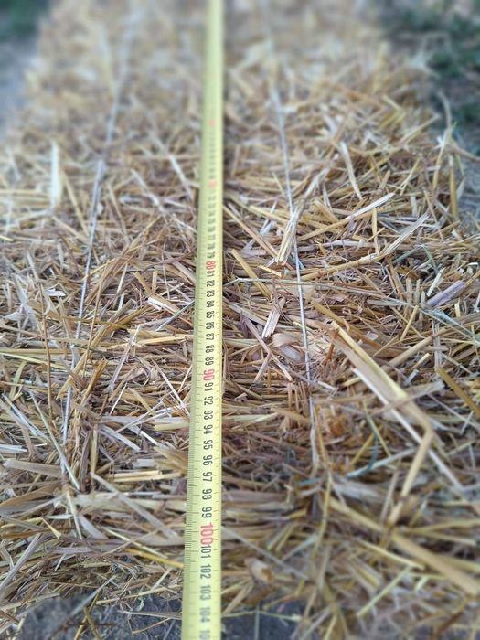 Продам тюки соломи