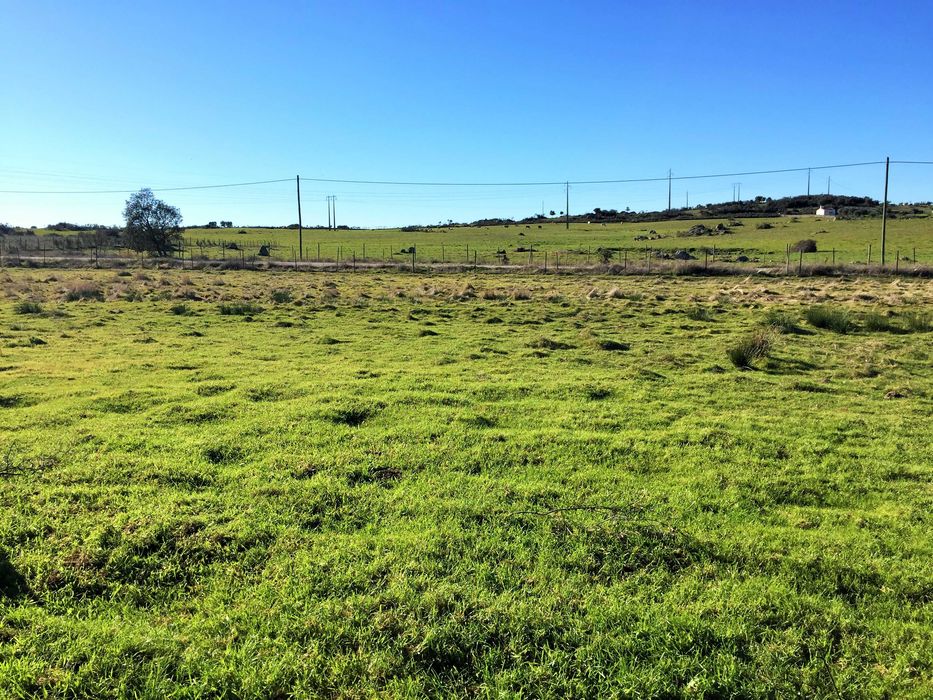 Vende-se terreno rústico, herdade em Alagoa-Portalegre (Alentejo)