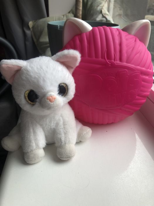 Интерактивний котик