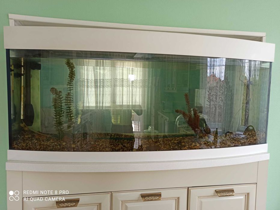 АКВАРИУМ 400л (1500) +Fluval fx5 ПРОДАМ в г.Днепр