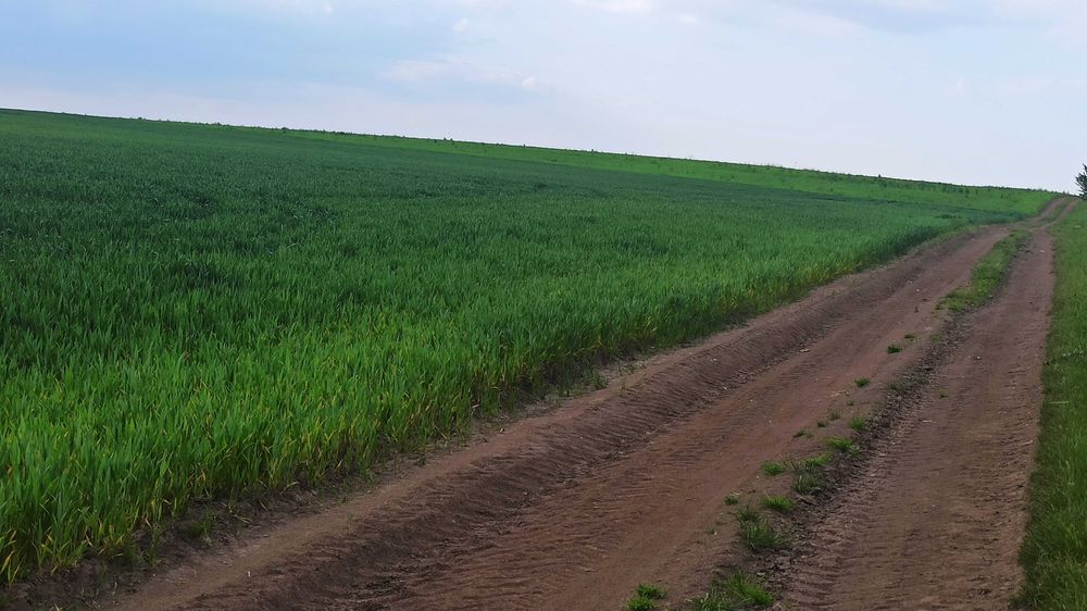 Ділянка 4 Га під котеджне містечко