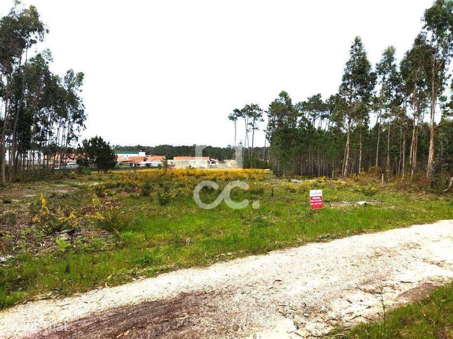 VIEIRA DE LEIRIA---Venda global de dois terrenos com a área total — Vieira de Leiria, Leiria