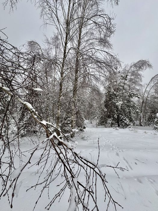 Продам земельну ділянку  67 Га! Калинівка!