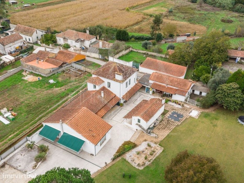 Quinta com Moradia T5 | Valongo do Vouga, Águeda