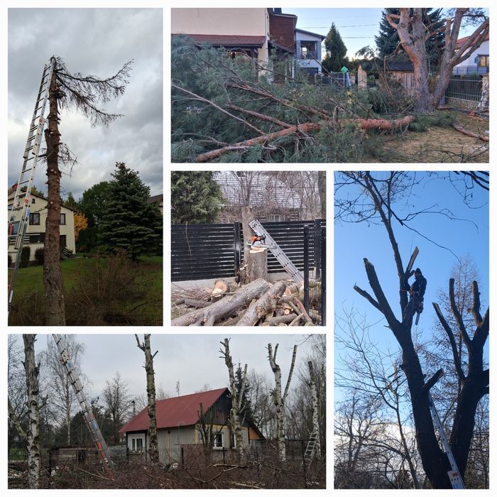 Prace ogrodowe/koszenie trawy itp.