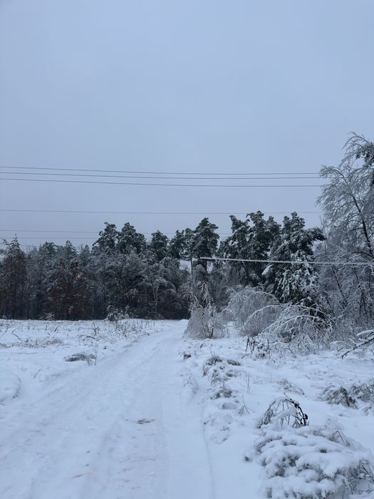 Дмитрівка 15 соток  біля лісу . Власник