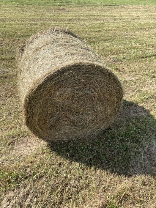 Bale siana 120x120
