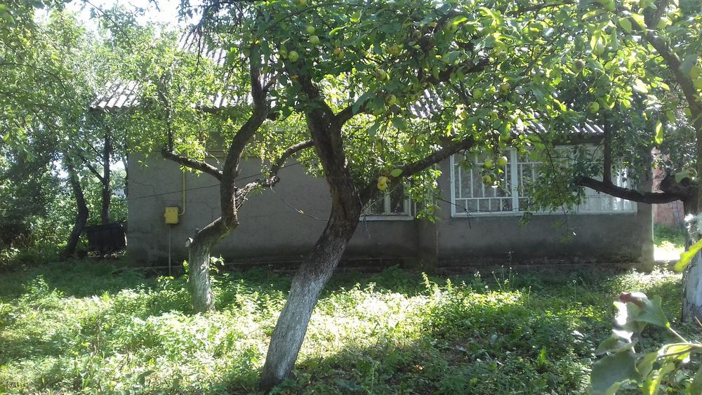 Будинок Хата Господарство в селі