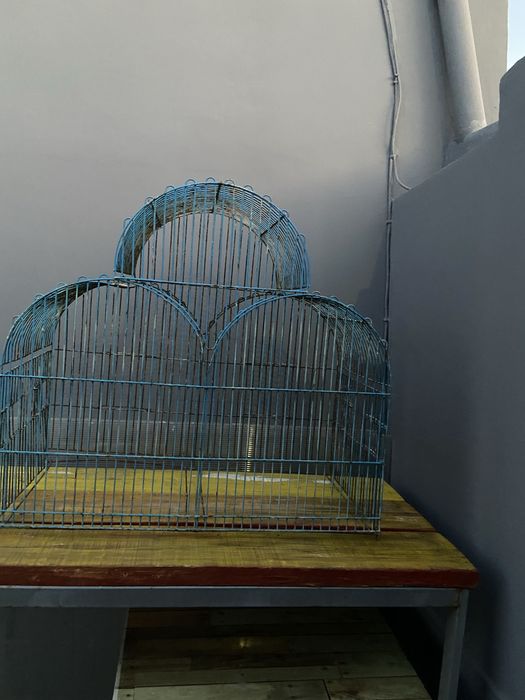 Gaiola grande 83 cm comp. 41 prof. 77 alt. Precisa pintar pode usar como floreira ou para passaros