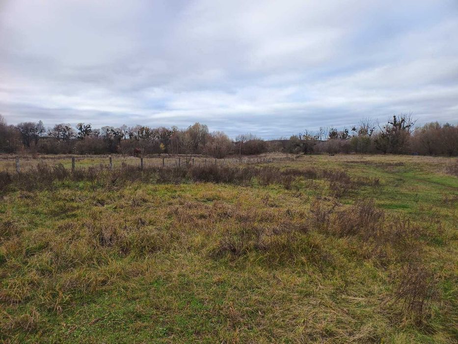 Продається велика земельна ділянка в с.Велика Солтанівка