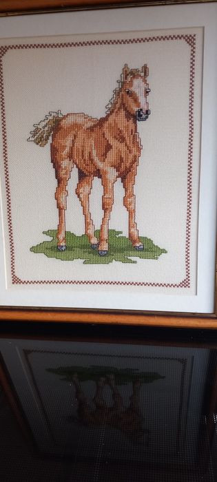 Quadro ponto cruz Potro