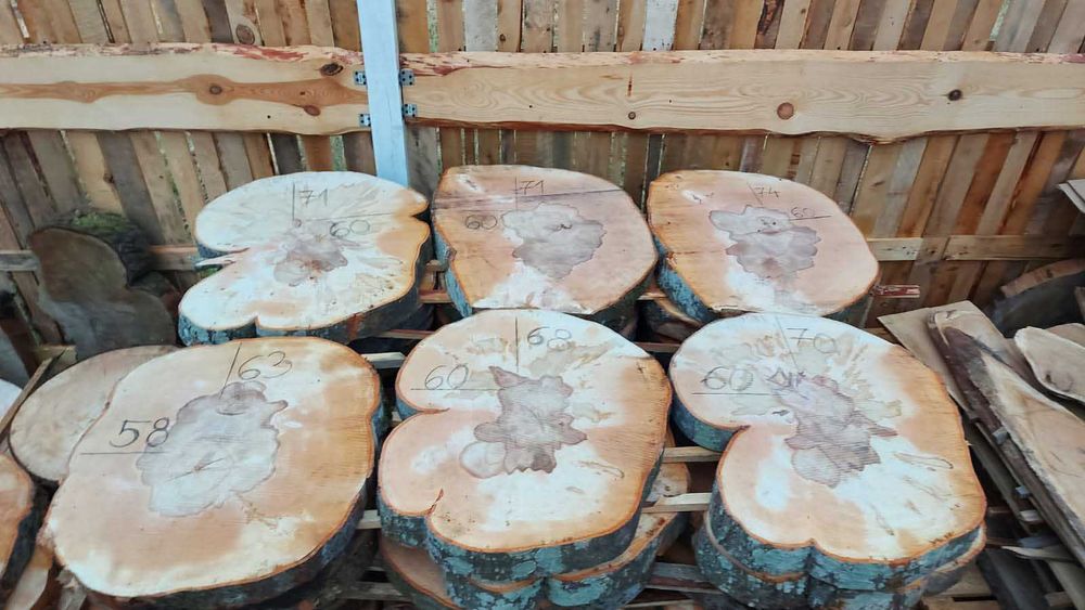 Plastry Drewna Buk Świerk Lipa Dąb