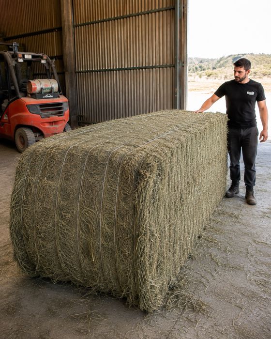 Feno Francês em Fardo Grande 500kg, Qualidade Superior