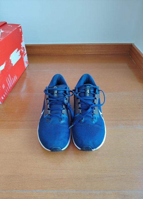 Sapatilhas Nike Pegasus 40