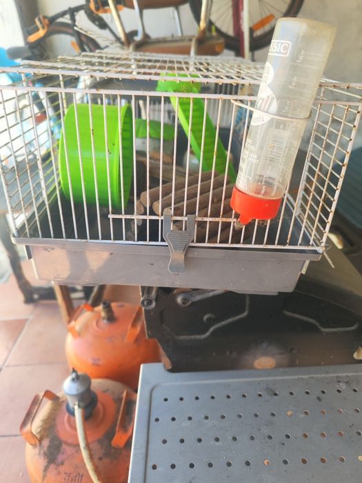 Gaiola grande de hamster
