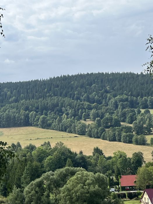 Działki budowlane (dom, pensjonat) w pobliżu Czarnej Góry!
