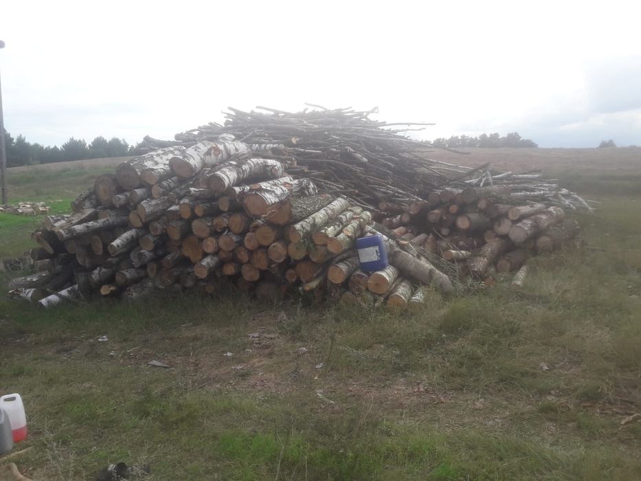 Drewno opałowe z transportem
