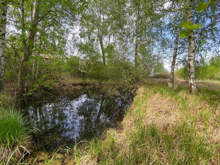 Ділянка з фантастичними краєвидами та локаціями с. Свидівок.