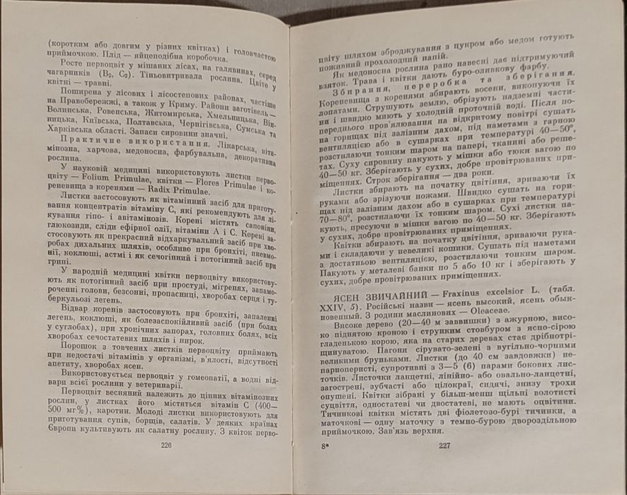 Дари         лісів