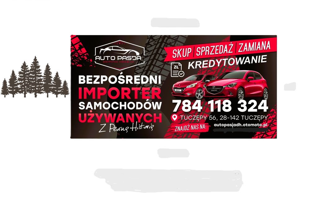 AUTO PASJA DH-Bezpośredni Importer Samochodów Używanych Z Pewną Historią top banner