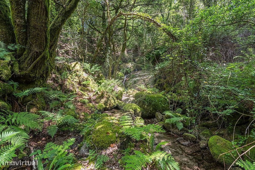 Terreno  para venda