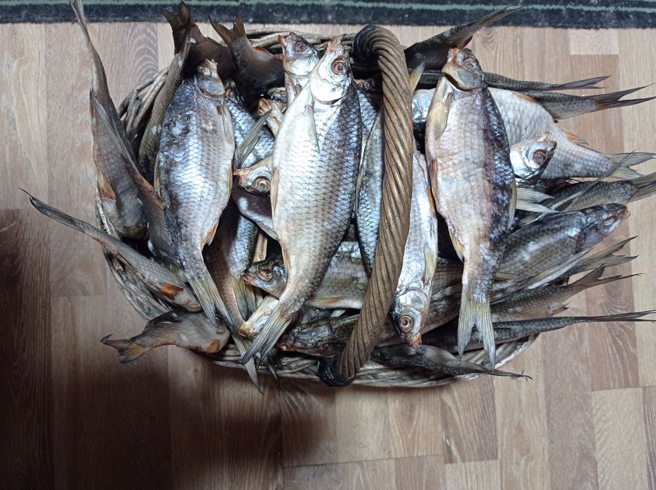 Риба сушена.Таранка. Плітка. Плотва