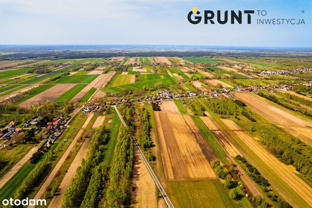 Działka z kameralnym zadrzewieniem